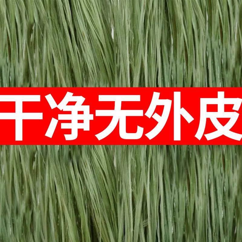 青麻天然苎麻丝水暖麻丝管道密封编织材料麻线孝麻纳鞋底麻绳