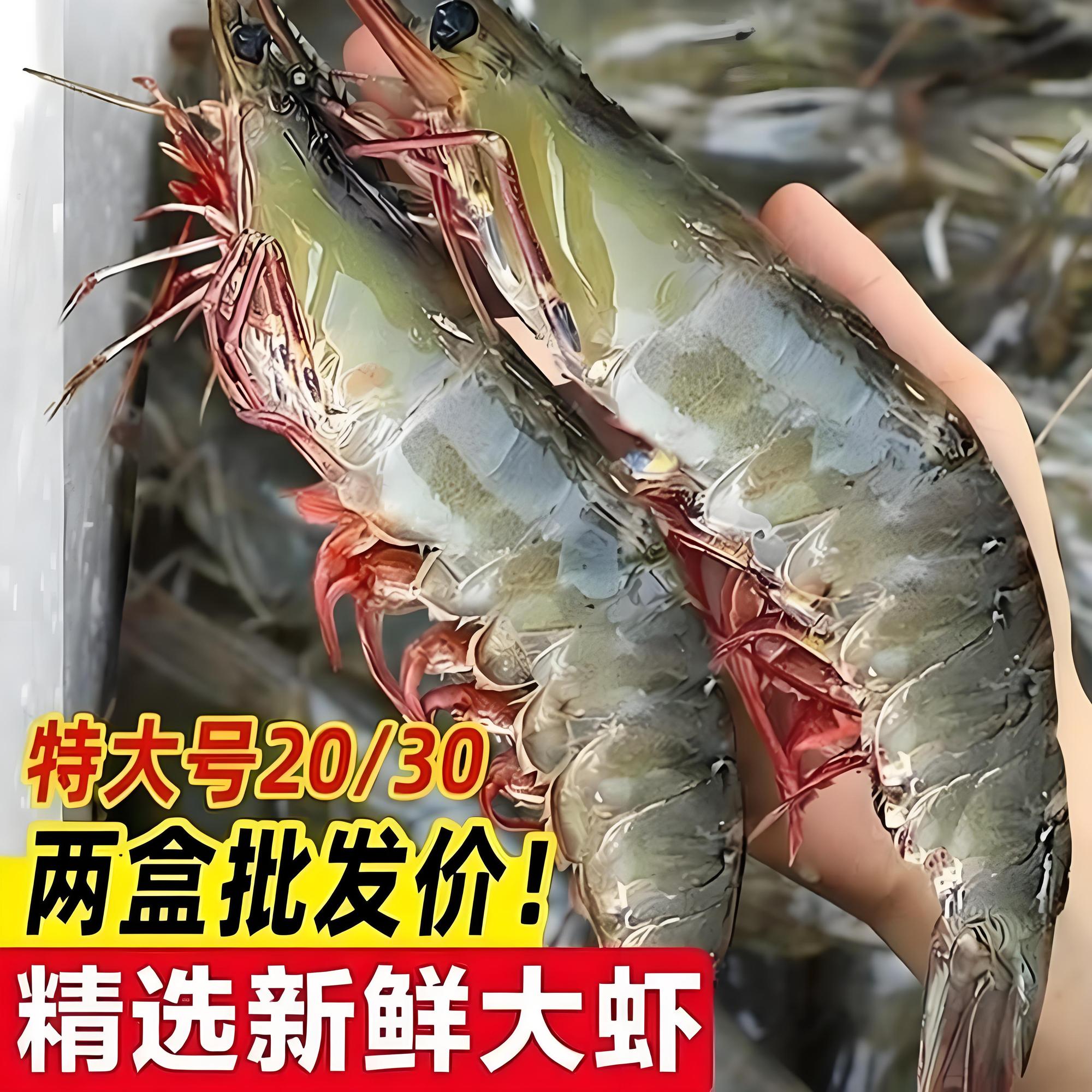 【港城食刻】海水大虾特大号新鲜冻虾