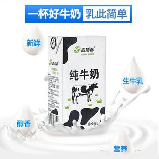 新日期新疆西域春纯牛奶整箱200克 20盒成人儿童学生营养早餐牛奶