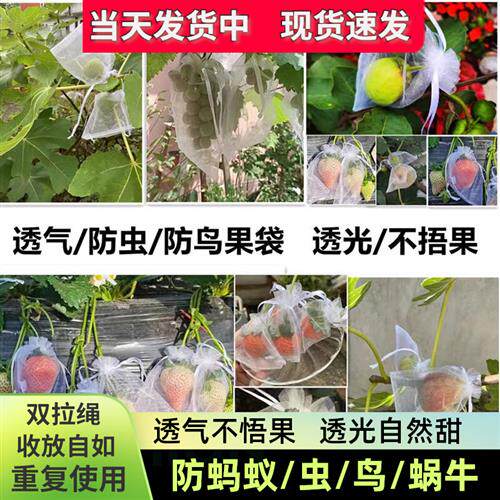水果套袋果实网套袋番茄葡萄无花果西红柿防虫防鸟保护袋草莓石榴