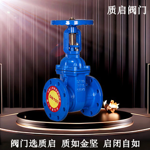 Z41X 16Q法兰软密封明杆闸阀泉州质启弹性座封闸阀法兰橡胶阀DN50