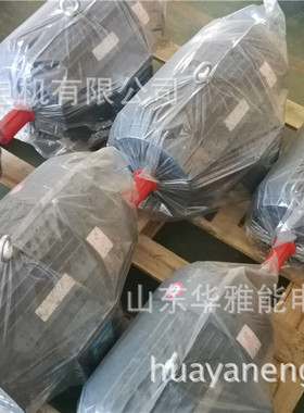替代贝得电机YX3-180L-4-22KW电机F级双伸周IP66防护等级高耐高温