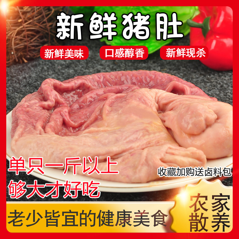 新鲜猪肚大猪肚猪内脏猪肚鸡食材土猪肚新鲜猪肚子包邮