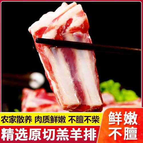 羊排新鲜羊肋排草原散养羔羊中肋原切鲜切羊排烧烤炖羊排