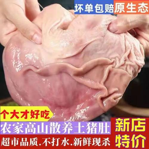 大猪肚新鲜猪肚纯干无油猪肚子新鲜整只猪肚速冻整个