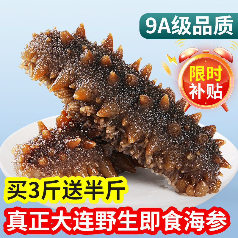 大连海参野生即食海参正品官方旗舰店深海刺参鲜活辽参500g单个装