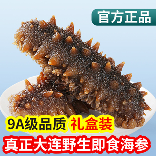 大连海参野生即食海参正品官方旗舰店深海刺参鲜活辽参500g单个装