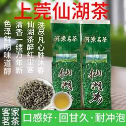 2025新茶春茶广东绿茶河源特产东源上莞茶仙湖茶500g散装客家炒茶