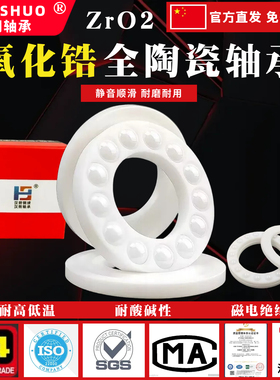 氧化锆平面推力球陶瓷轴承51100 51102 51105 51106 51112CE P5级