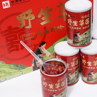 双喜岷县野草莓罐头新货甘肃特产新鲜瓢儿水果罐头当地还有点心