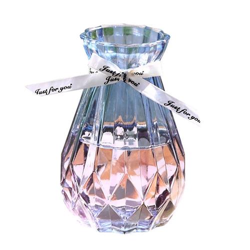欧式玻璃花瓶创意简约透明水培绿萝植物干花瓶客厅插花桌面摆件