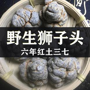 旗舰店 野生狮子头三七中药材18头云南文山帮磨特级田七粉官方正品