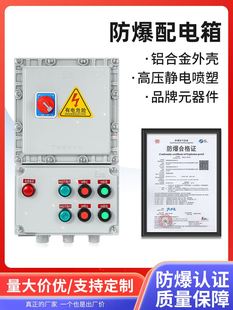 防爆磁力启动器二路电机启动器三路水泵风机控制箱配电箱开关380v