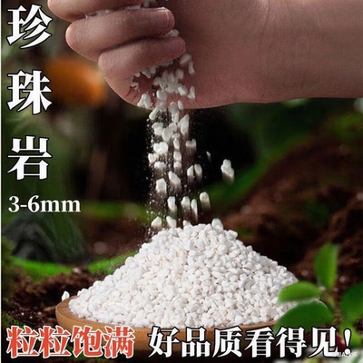 珍珠岩颗粒养花用膨胀珍珠岩多肉至蛭石园艺兰花专用营养土