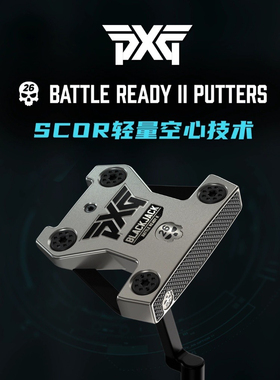 PXG高尔夫球杆新款男士灰色骷髅头Blackjack稳定大头容错golf推杆
