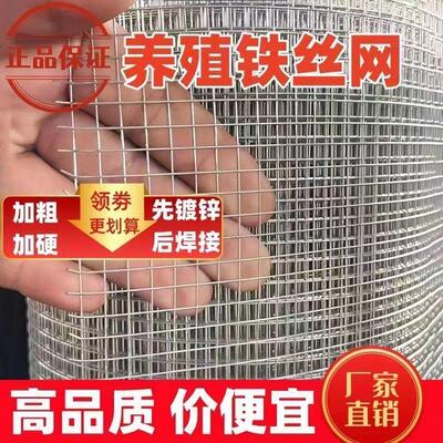 热镀锌钢丝网防锈铁丝网围栏网家用钢丝网铁网格网防护网铁网格网