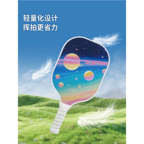 peak匹克体育官方认证匹克球拍玻纤Pickleball2拍4球成人进阶套装