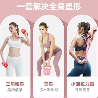 哑铃女士家用健身器材组合套装练臀腿壶铃瘦手臂拉力器减肥弹力带