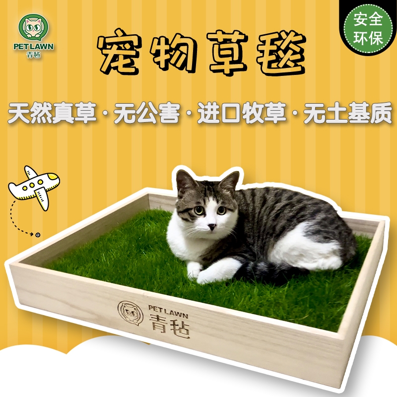 青毡多功能真草草毯猫狗异宠通用