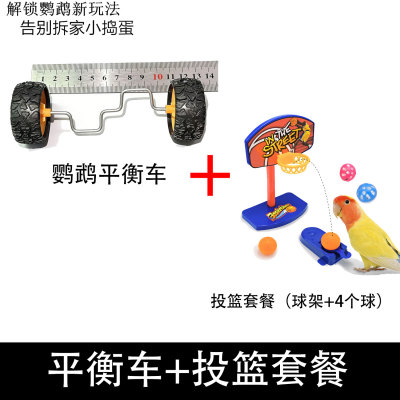 鹦鹉玩具平衡车解闷陪伴益智牡丹小太阳皮滑板车技能训练玄凤鸟用