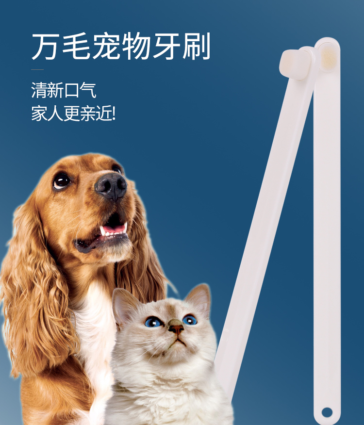 猫咪万毛小牙刷宠物狗狗口臭牙齿清洁用品猫专用牙刷套装刷牙神器 宠物/宠物食品及用品 猫狗牙膏/牙具 原图主图