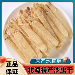 沙虫干特干级250g野生足干海肠子煲汤煲粥食材北海特产非湛江沙虫
