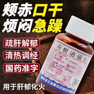 丹栀逍遥丸60g舒肝清热解郁调经月经先行乳房胀痛 海王金象 包邮