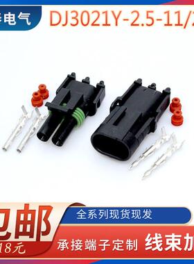 DJ3021Y-2.5-11/21 两芯防水插头12015792/12010973Delphi连接器
