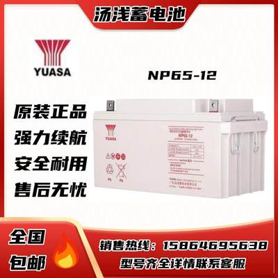 蓄电池12V65AH免维护NP65-12应急EPS太阳能铅酸蓄电池