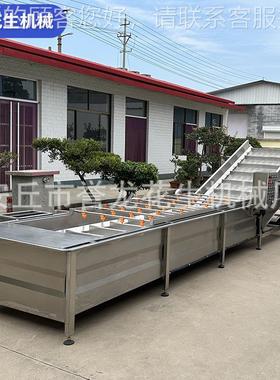 自动花生果清洗机菜水蔬果茄子辣椒气泡清洗去全PZW杂清洗流水机