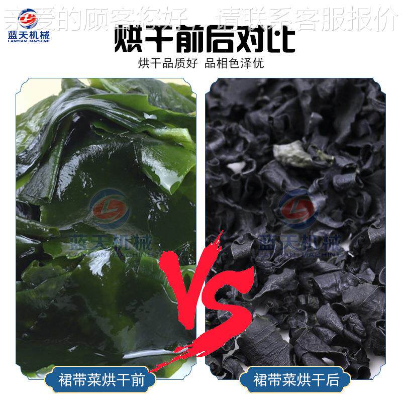 网带裙清带菜烘干机 海全自动海芥菜洗水LGP干燥设备脱 大型带烘