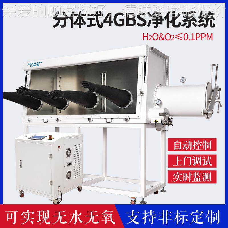 净化4GBS系统套箱非标手液压杆外开不钢实验室加操作箱1ppm锈干燥