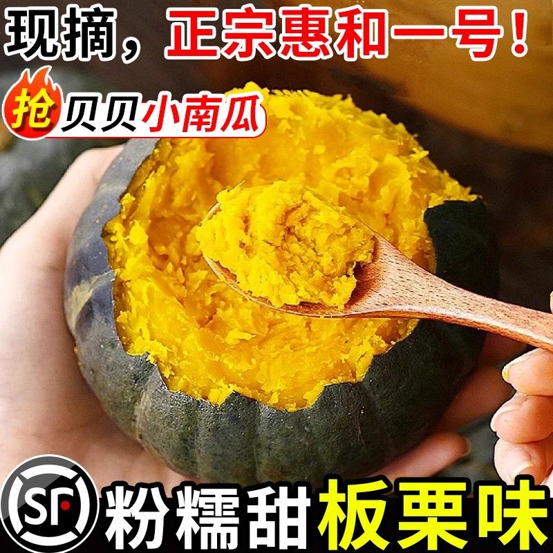 贝贝南瓜板栗味贝贝小南瓜栗面老瓜正宗正品新鲜5斤婴儿粉糯香甜,水产肉类/新鲜蔬果/熟食,南瓜,淘宝优惠券,粉丝福利购,淘宝优惠卷