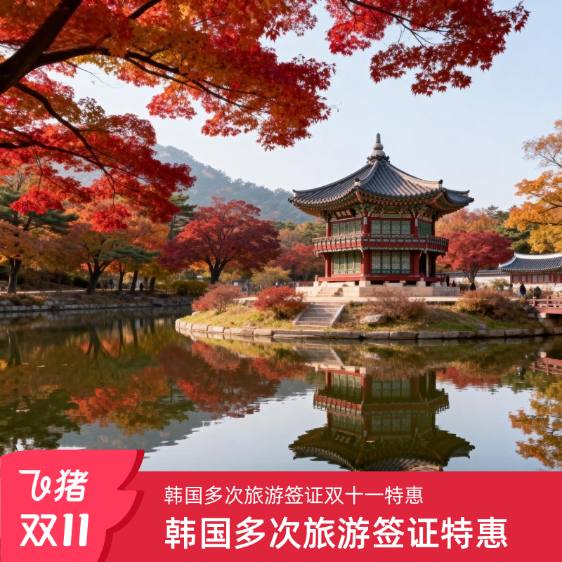 韩国五年多次旅游签证沈阳送签