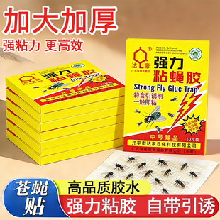 苍蝇贴强力粘胶灭杀粘蝇纸捕蝇神器带引诱达豪苍蝇纸家用室内商用