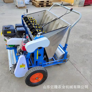 金乡汽油六行大蒜播种机 株距可调大蒜种植机 手推式蒜瓣点播机