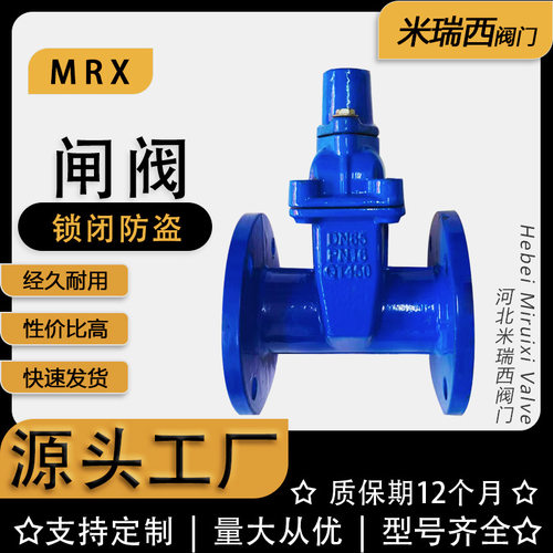 防盗闸阀 锁闭软密封闸阀 加密闸阀球墨铸铁法兰闸阀 厂家FDZ45x