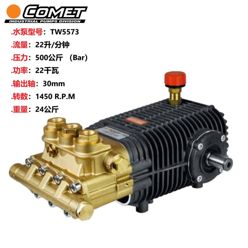 TW5573意大利进口高压泵500公斤