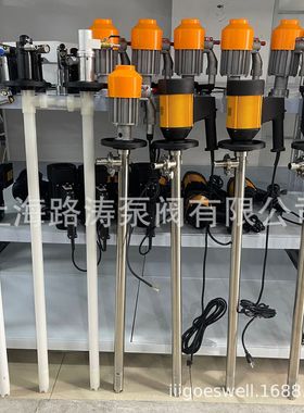路涛HD-E2+V+SS316L-1500电动抽液泵化工插桶泵不锈钢电动油桶泵