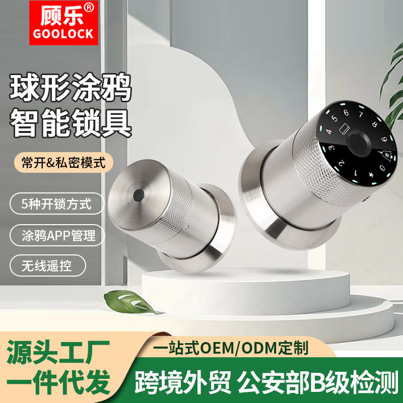 顾乐跨境新款球形涂鸦智能锁指纹锁房间卧室木门公寓酒店门锁
