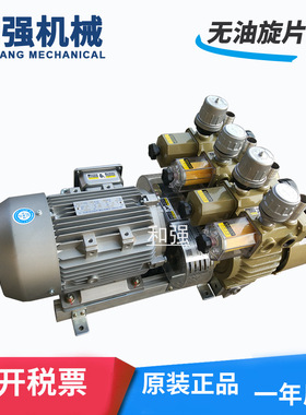 两吸两吹双头真空泵 HZB50-SS-VBVB-03 应用于真空和鼓风 HQVACU