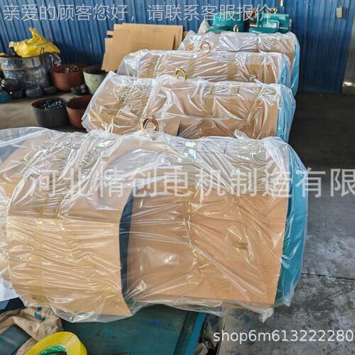爆防型电机隔爆电机 YBX4-315-10 M55W 粉尘防爆995型三相异步电