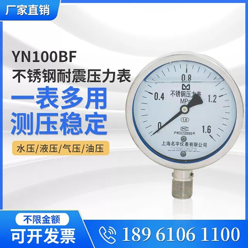 YN100BF不锈钢耐震压力表304/316L接头表壳耐腐蚀0-0.6/1.6Mpa