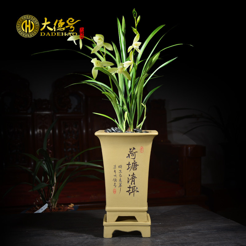 大德号花盆陶瓷大号刻绘紫砂花盆兰花盆吊兰君子兰花专用盆带托盘