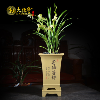 大德号花盆陶瓷大号刻绘紫砂花盆兰花盆吊兰君子兰花专用盆带托盘