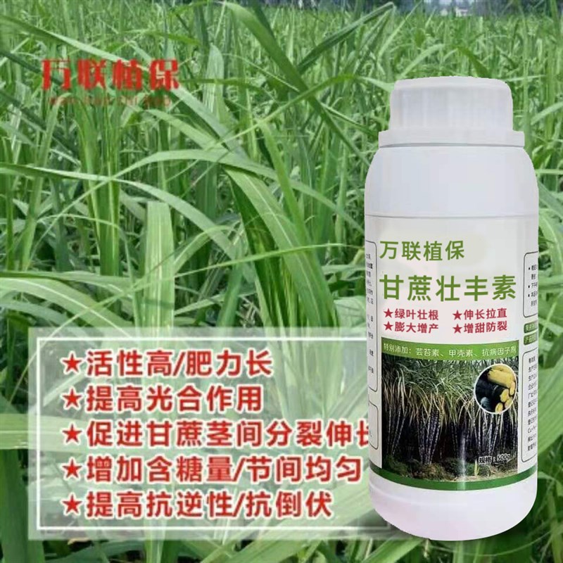 甘蔗专用叶面肥增粗增糖膨大素甘蔗壮丰素叶面肥甘蔗膨大增粗拉长