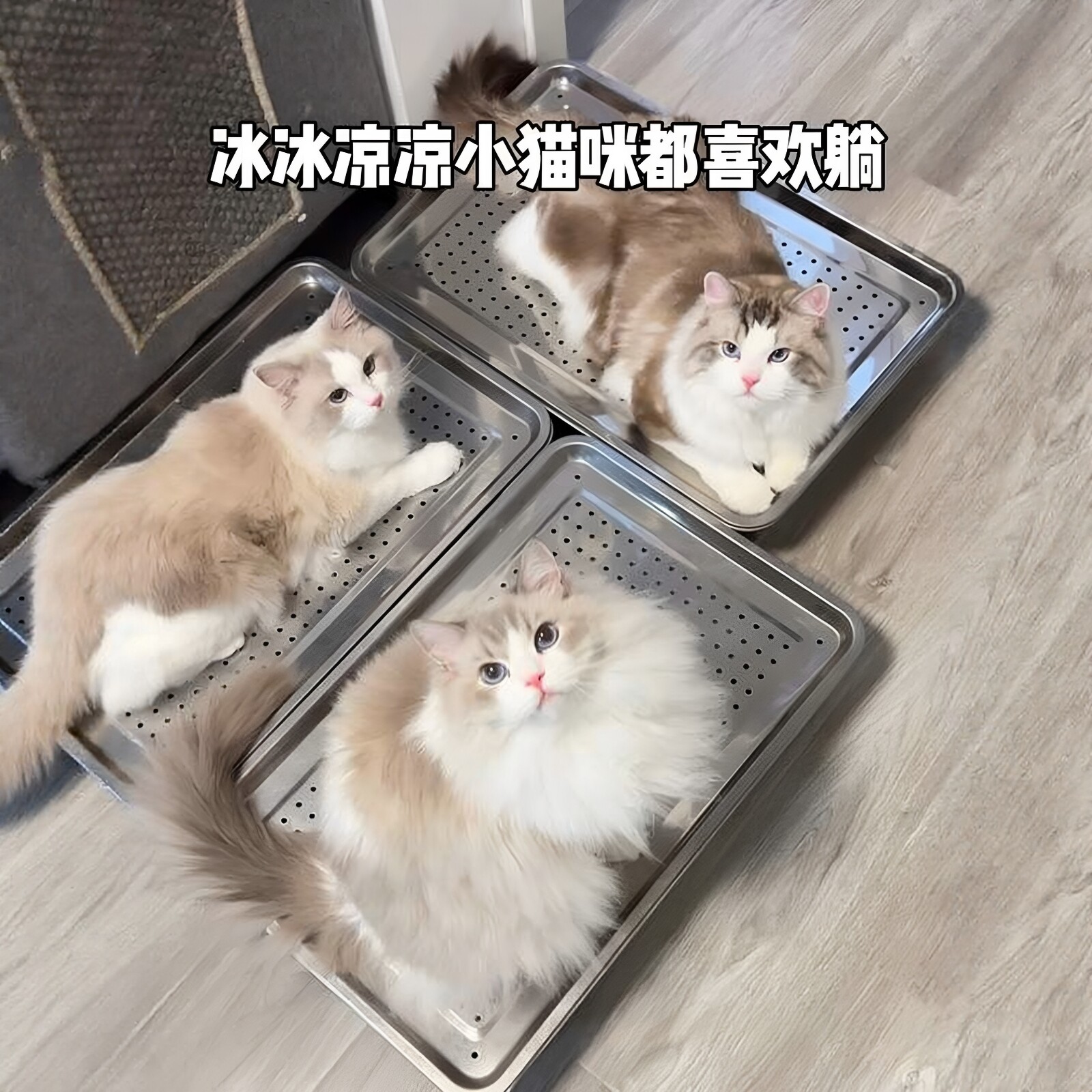 夏日不锈钢冰感降温双层猫窝图片