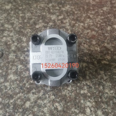 WSD高压齿轮油泵CBT-G304 306 308 310 312 314 316 320 325ALFH