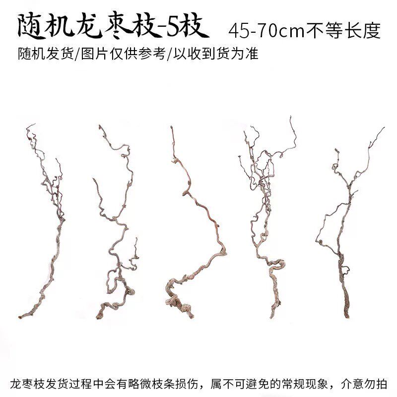 天然龙枣树干枝原木家居摆件装饰龙爪插花M禅意干花艺术风侘寂复