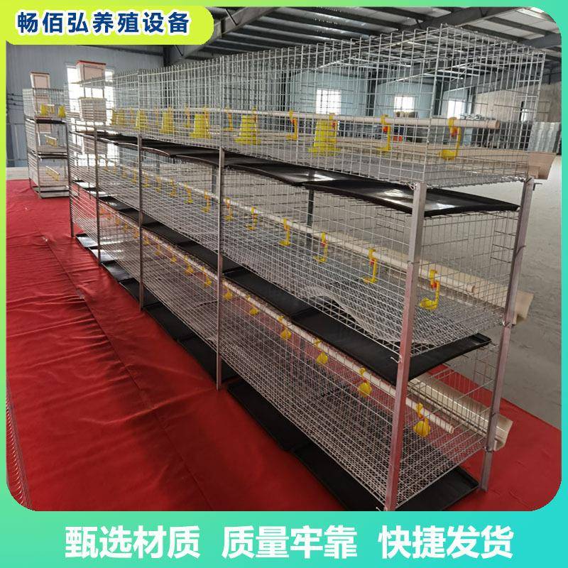 肉鸡笼H型框架笼鸡舍养殖鸡窝镀锌工艺层叠式可直供外贸